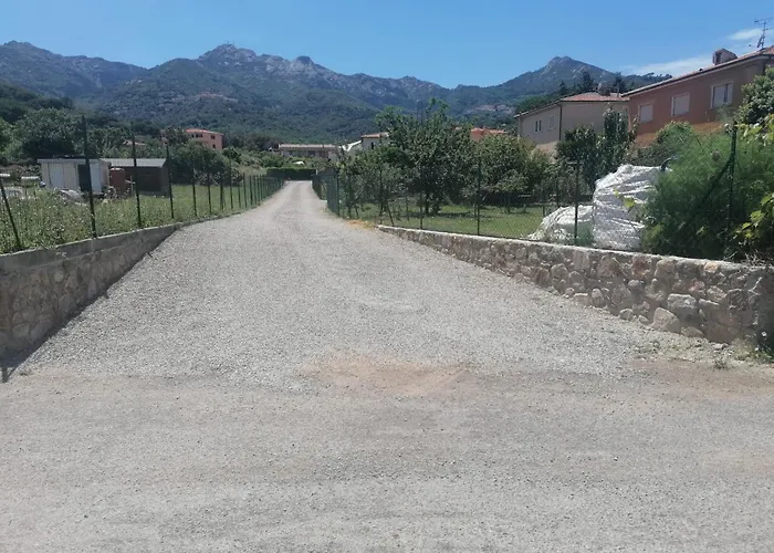 Loretta マルチャーナ・マリーナ